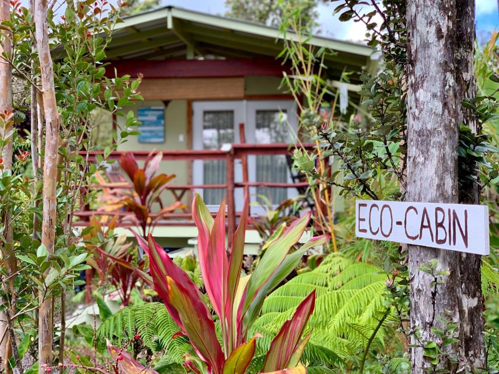 Rainforest Eco Cabin